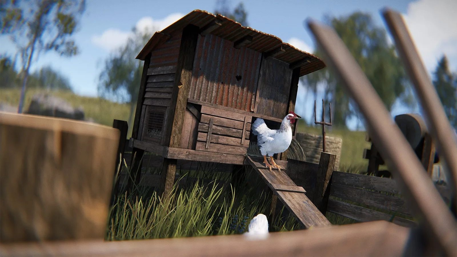 A chicken perched on the ramp of a wooden chicken coop